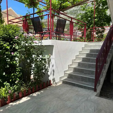 إيفانا تريبينيي